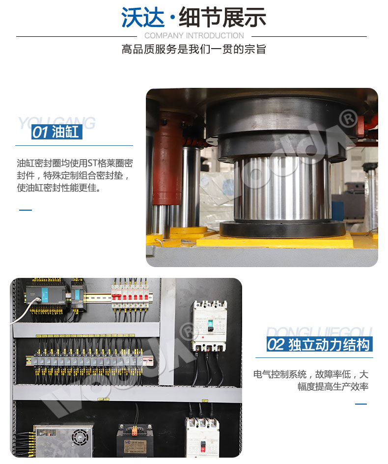 魚餌成(cheng)型液壓(ya)機