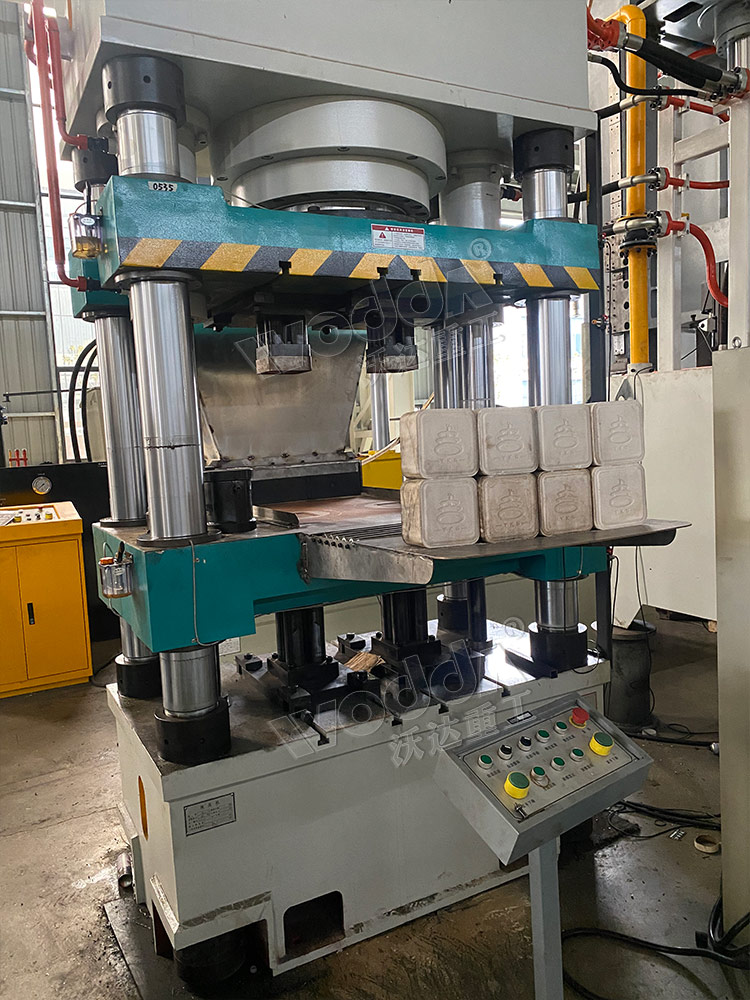 牛羊(yang)舔磚(zhuan)液壓(ya)機一(yi)模兩(liang)出